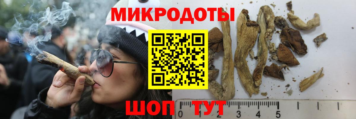 наркотики  Галлюциногенные грибы прущие грибы  Вход с VPN  Кунгур 